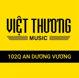 Showroom Việt Thương Music Vincom Hà Nội